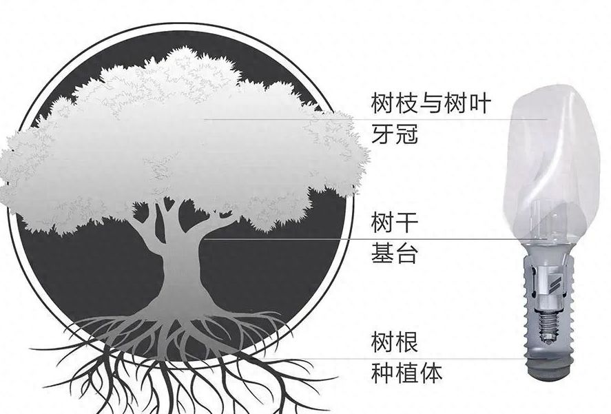 兰州智齿拔除医院推荐：2024下颌正位萌出智齿就诊指南