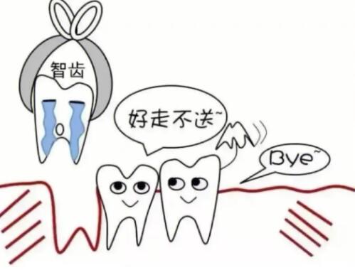 顺德种植牙医院排名2024：口碑推荐&收费参考