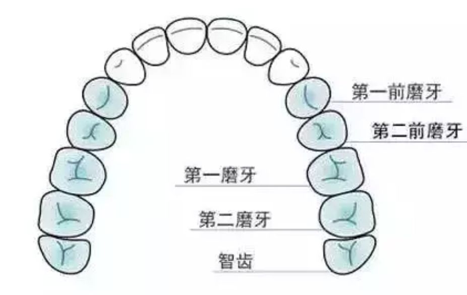 2024浙江牙槽骨增高口腔诊疗机构前十榜单公布