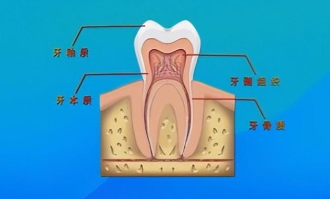 咸阳上颌窦提升手术哪家医院好？2024口碑推荐前十名！