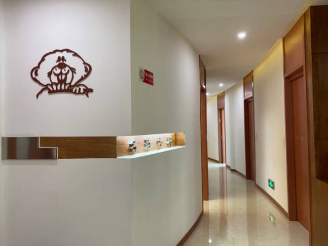 上海名范齿科口腔诊所走廊
