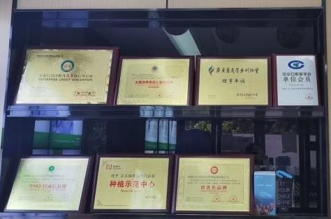 深圳正夫口腔(世界之窗店)医院荣誉