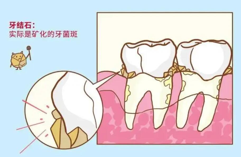 大连人气牙科医院盘点：品质诊疗，焕亮笑容