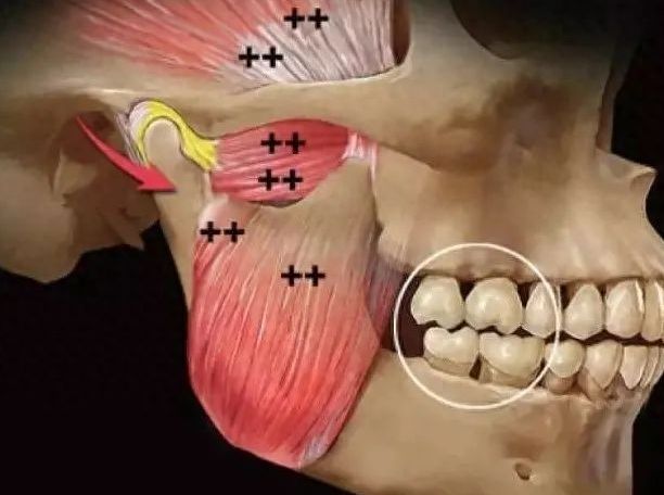 天津阳光树口腔医院靠谱吗